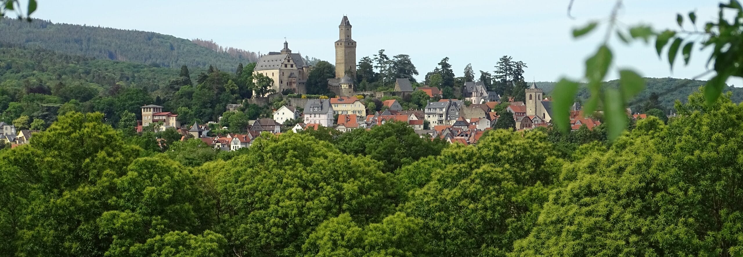 Kunst aus Kronberg im Taunus